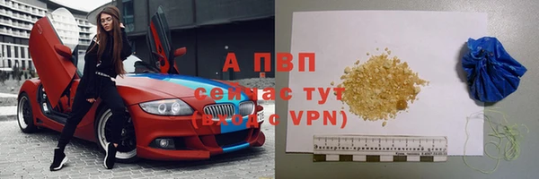 стаф Абинск