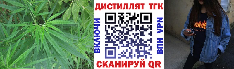 Дистиллят ТГК концентрат Майский