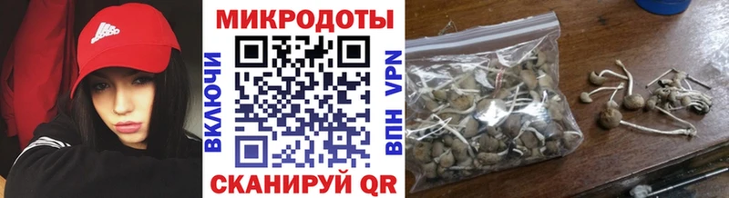 Псилоцибиновые грибы Psilocybine cubensis Майский