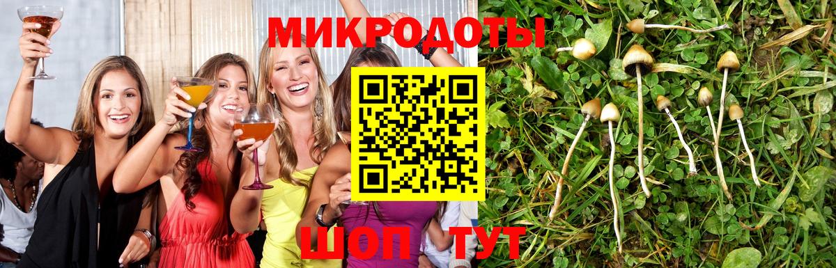 Галлюциногенные грибы MAGIC MUSHROOMS  Вход с VPN  Майский 