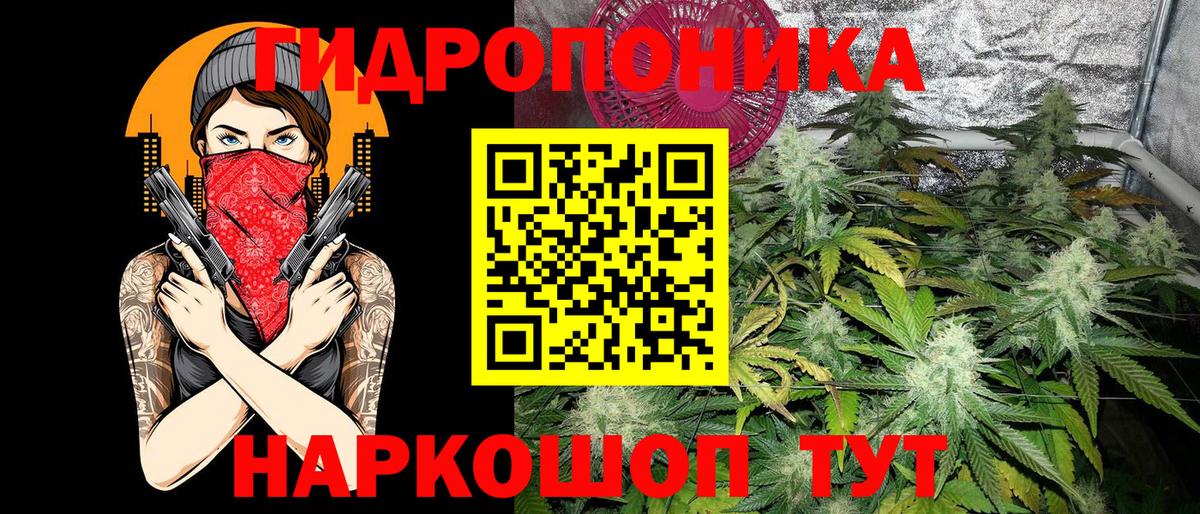 Бошки Шишки конопля Майский